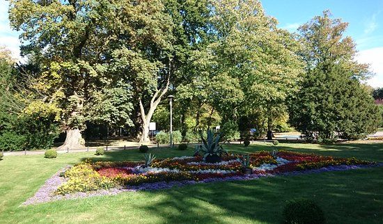 Pływanie w morzu